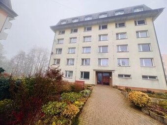 Byt 2+1 ul. Purkyňova, Žďár nad Sázavou