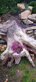 Kořen dekorace skalka či jezírko - 1