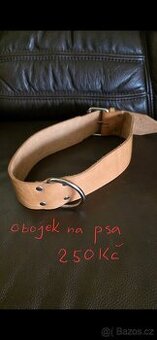 Obojek