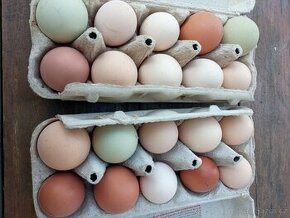 Domácí vejce od šťastných slepic