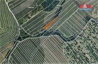Prodej lesa, 1773 m², Němčany