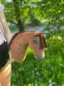 Hobby horse