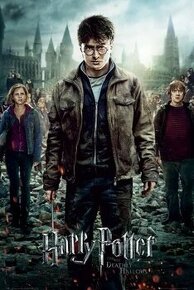 Plakát Harry Potter