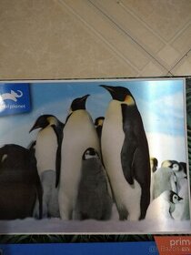 3D Puzzle