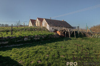 Prodej pozemku 450 m2 s vinným sklepem ve Strachoticích, okr