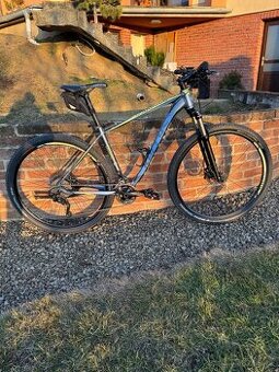 Kellys Desire 50