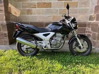 Honda CBF 250 - 1