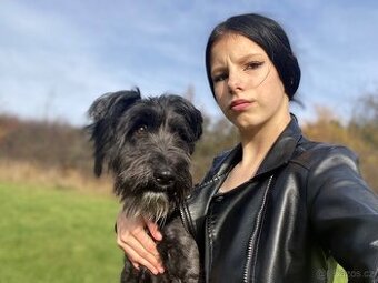 Daruji psa za pitel granuli