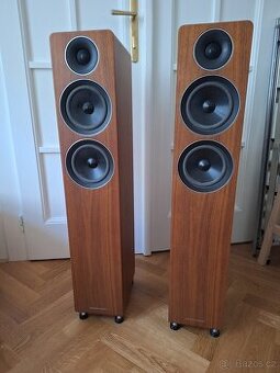 Acoustic Energy AE309