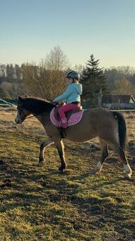 První pony pro děti