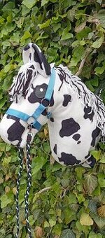Hobby horse