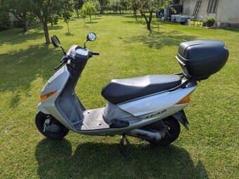 Honda Lead SCV 100