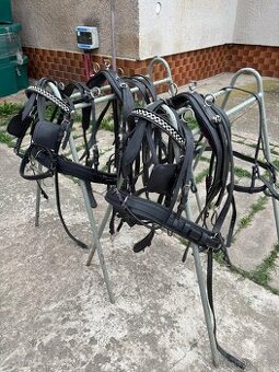 Párové postroje pony