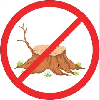 Likvidace, odstranění pařezů,  frézování pařezu