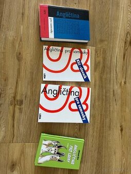 Angličtina pro samouky