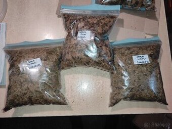 Krmivo pro rybičky SERA