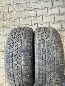 Zimní pneu Riken 225/55 R17 101V