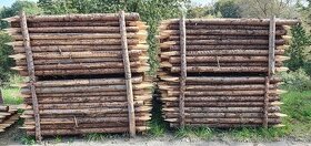 Dřevěné kůly - 1