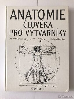 Anatomie člověka pro výtvarníky