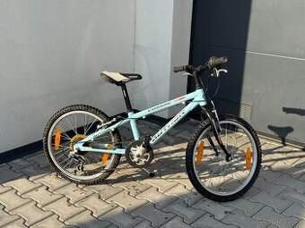 Author Cosmic 20"