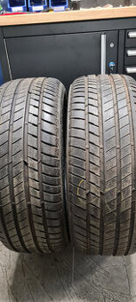 Letní pneumatiky Bridgestone Alenza 245/50 r19 - 1