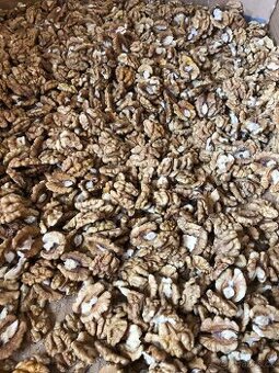 Letošní vlašské ořechy