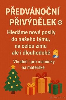 Přivýdělek z domova – flexibilní spolupráce bez vstupních po