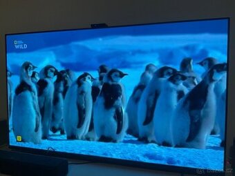 Sony Bravia XR-55A80L, Sony Bravia cam