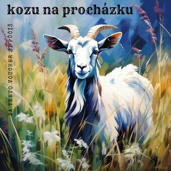 Nevšední zážitek