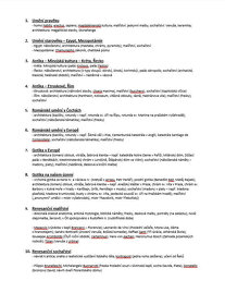 Maturitní otázky - dějiny umění