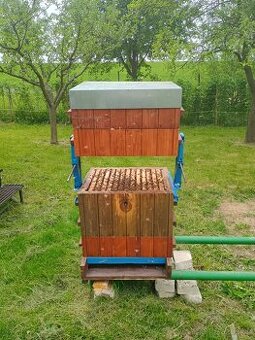 Prodám vyzimovaná včelstva