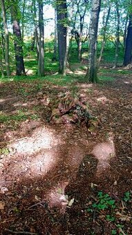 Mimtech A-RCS ghillie hejkal