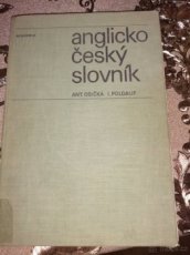 Anglicko-cesky slovnik