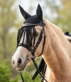 Čabraka s třásněmi pony - 1