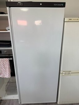 Lednice tefcold