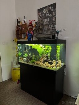 Akvárium Juwel Rio 350 LED + skříň SBX