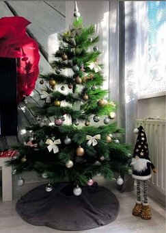 Vánoční strom borovice