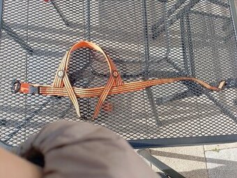 Postoroj pro štěně - 1