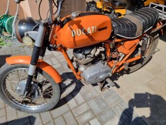 Ducati TS 175