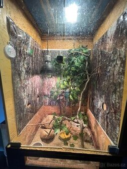 Terarium - 1