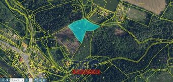 Nabídka lesních pozemků - Investice do budoucnosti u obce Bz - 1