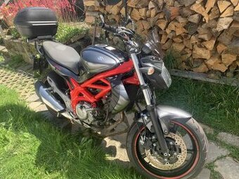 Suzuki Gladius 650