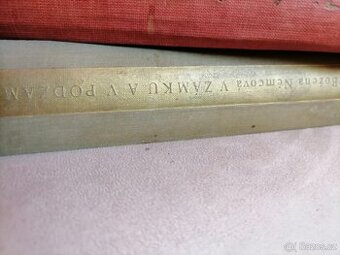 V zámku a v podzamci