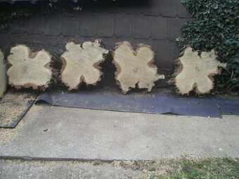 řezy kmenů dekorace