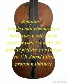 KOUPÍM:housle,violu,violoncello,kontrabas