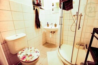 Podnájem útulného bytu 1+1 v centru Brna, přímo u parku L...