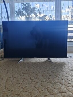 Televize Panasonic