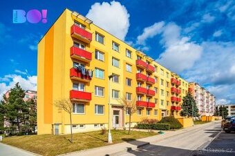 Mladý Pár s Pejskem Hledá Podnájem bytu ve Veselí nad Moravo