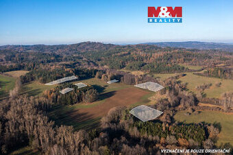 Prodej lesa, 25838 m², Nalžovské Hory