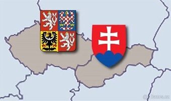 🇨🇿🇸🇰Československo mince